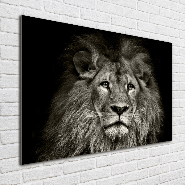 Print on acrylic Lion