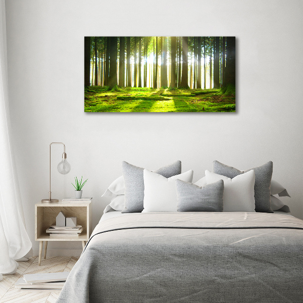 Wall art acrylic Forest in the sun