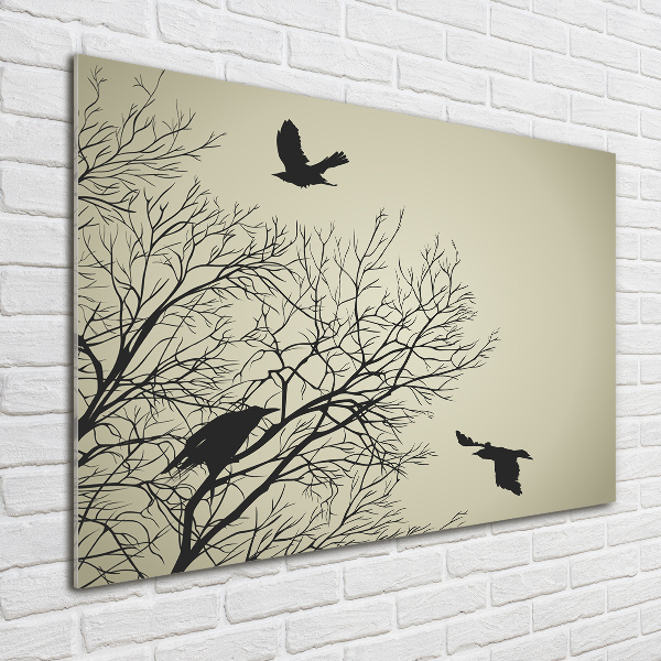 Print on acrylic Crows