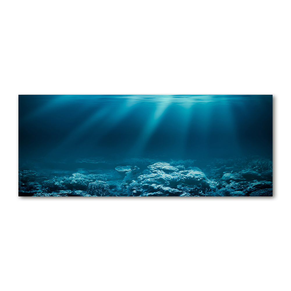 Acrylic wall art Underwater world