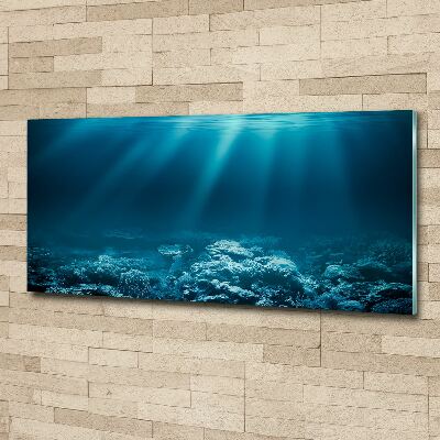 Acrylic wall art Underwater world