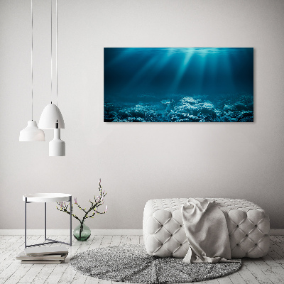 Acrylic wall art Underwater world