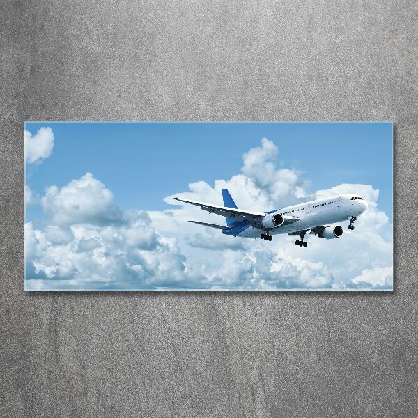 Wall art acrylic Plane in the sky