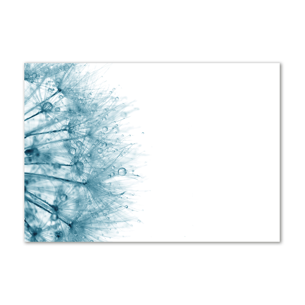 Wall art acrylic Dandelion