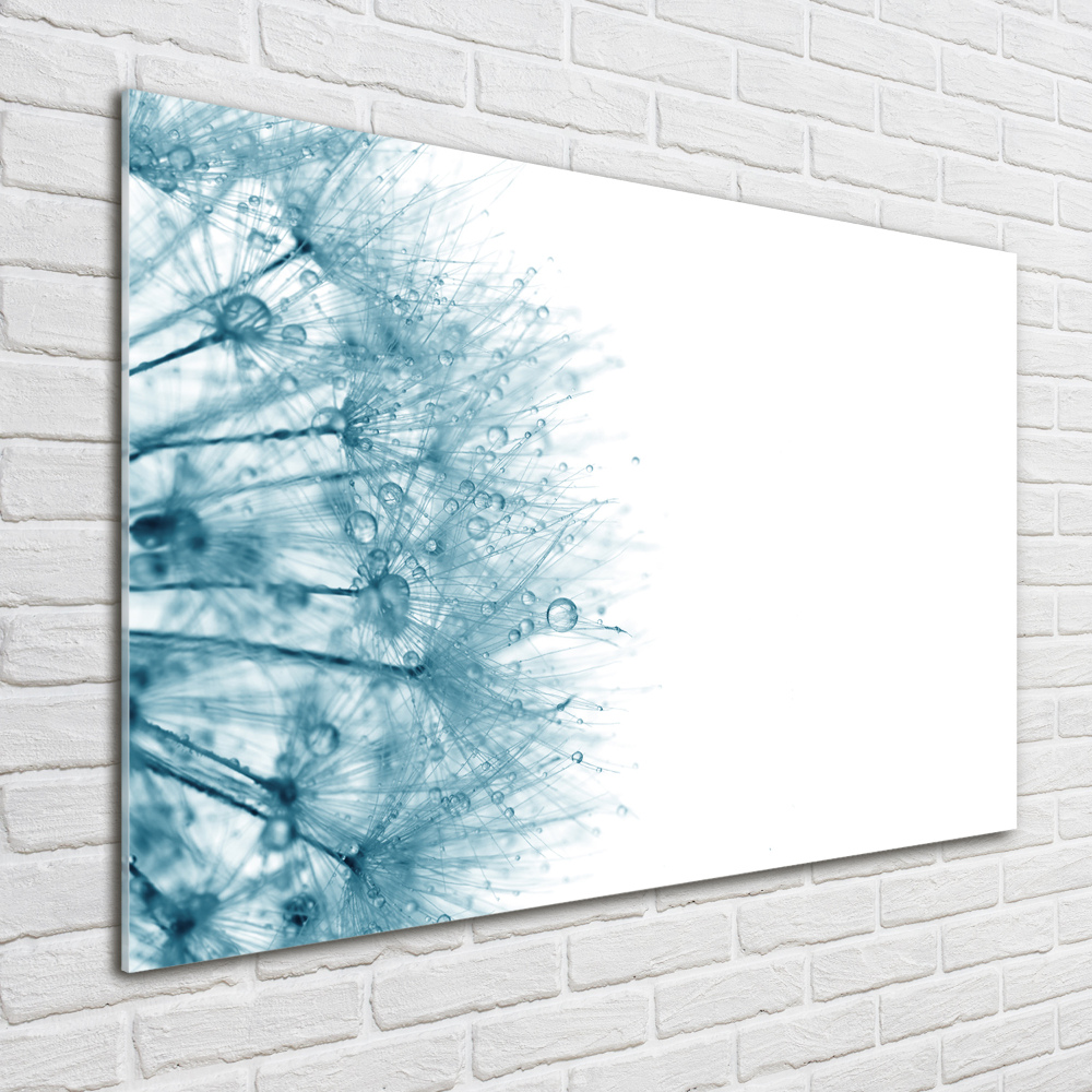 Wall art acrylic Dandelion