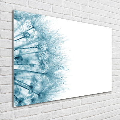 Wall art acrylic Dandelion