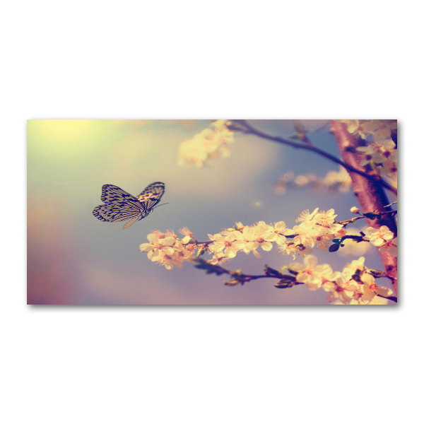 Wall art acrylic Cherry flower and butterfly