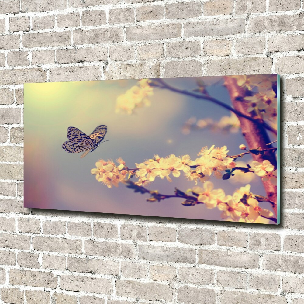 Wall art acrylic Cherry flower and butterfly