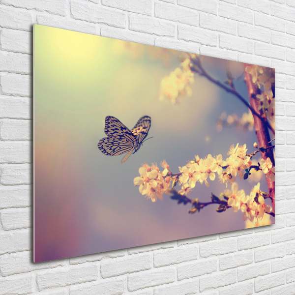 Wall art acrylic Cherry flower and butterfly