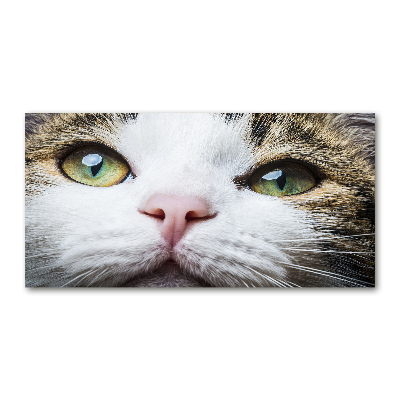 Print on acrylic Green cat eyes