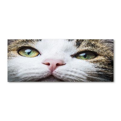 Print on acrylic Green cat eyes