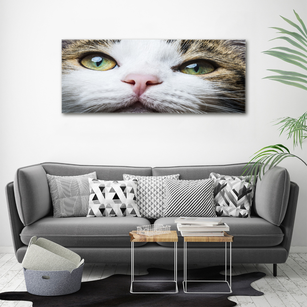 Print on acrylic Green cat eyes