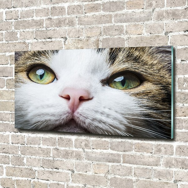 Print on acrylic Green cat eyes