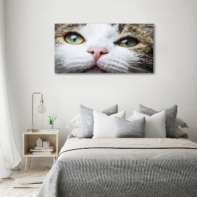 Print on acrylic Green cat eyes