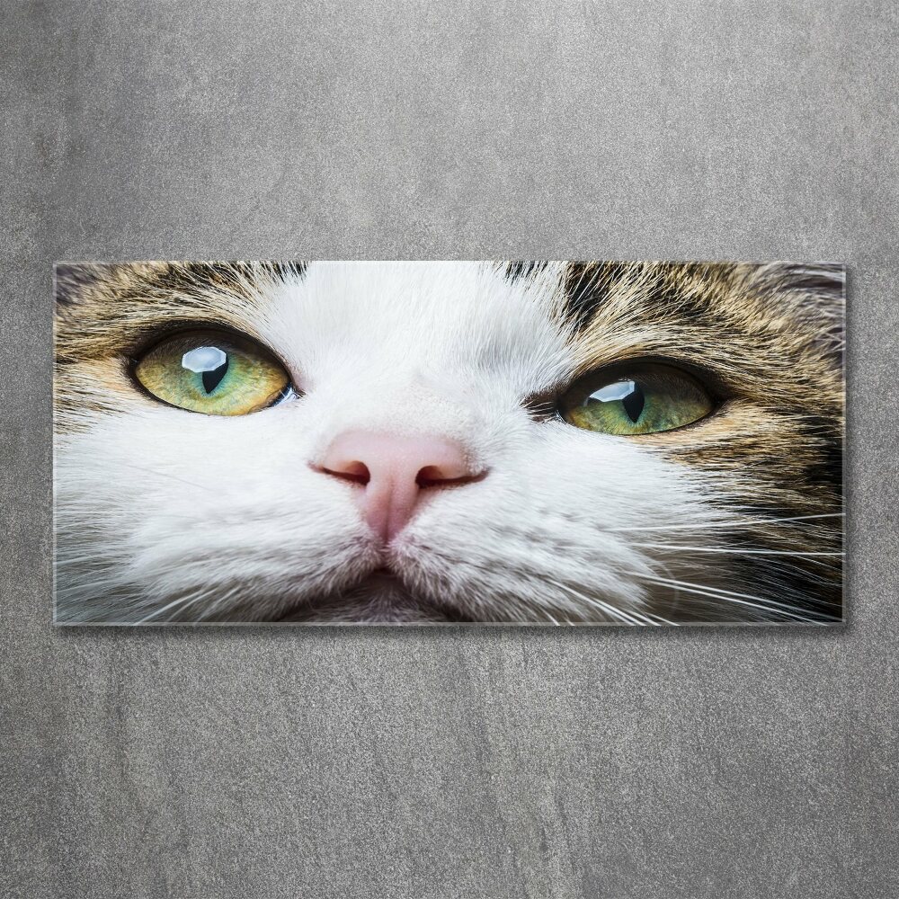 Print on acrylic Green cat eyes