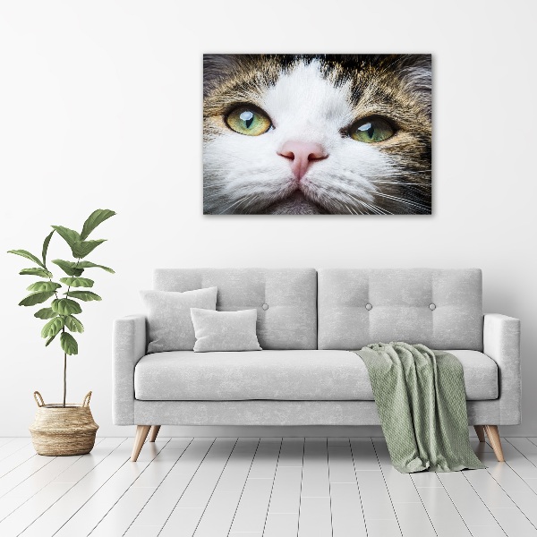 Print on acrylic Green cat eyes