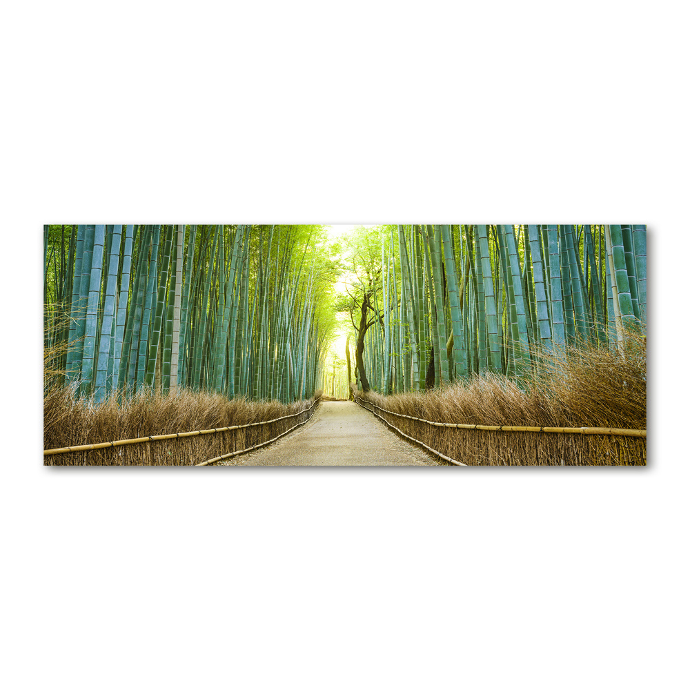 Print on acrylic Bamboo forest