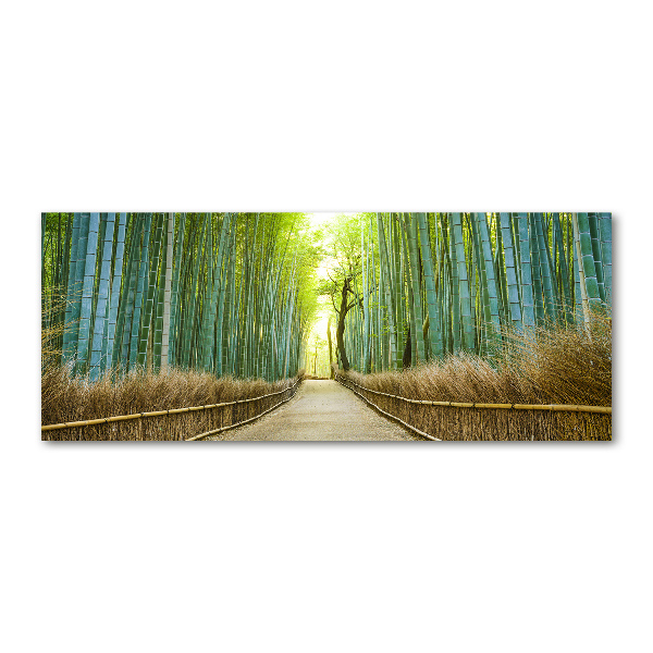 Print on acrylic Bamboo forest