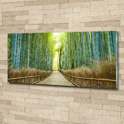 Print on acrylic Bamboo forest