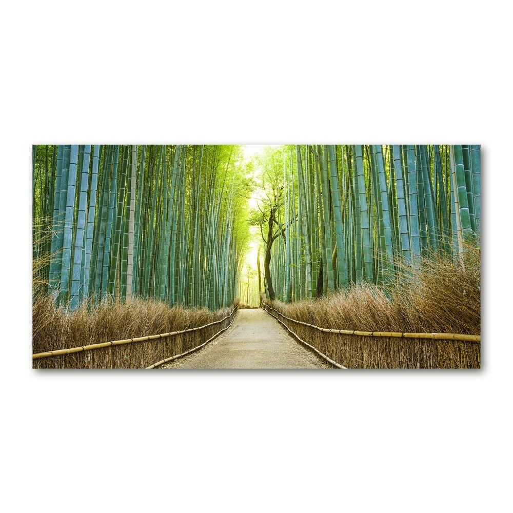 Print on acrylic Bamboo forest