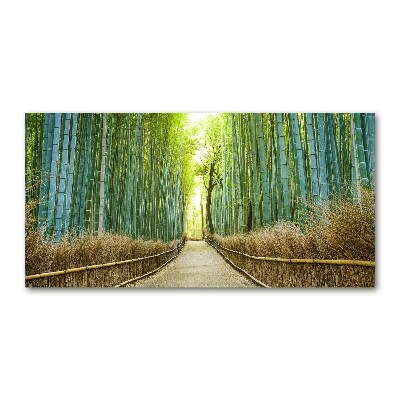 Print on acrylic Bamboo forest