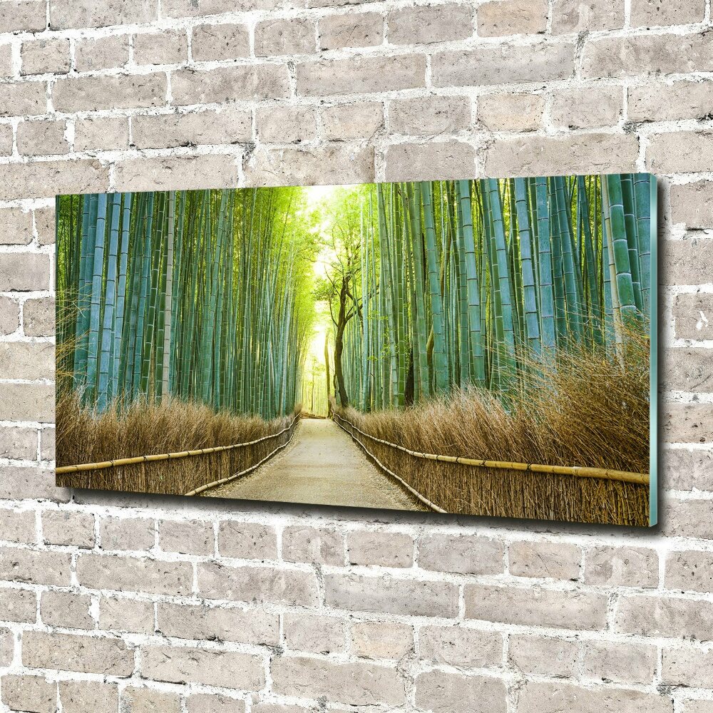 Print on acrylic Bamboo forest