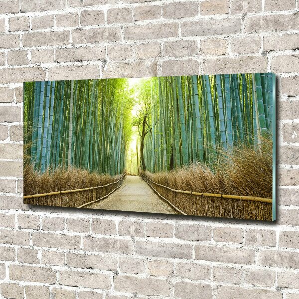 Print on acrylic Bamboo forest