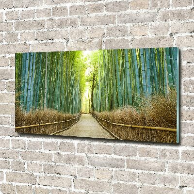 Print on acrylic Bamboo forest