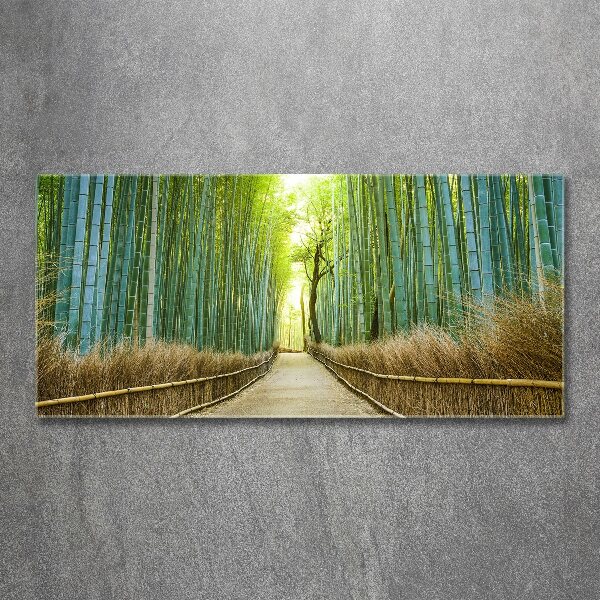 Print on acrylic Bamboo forest