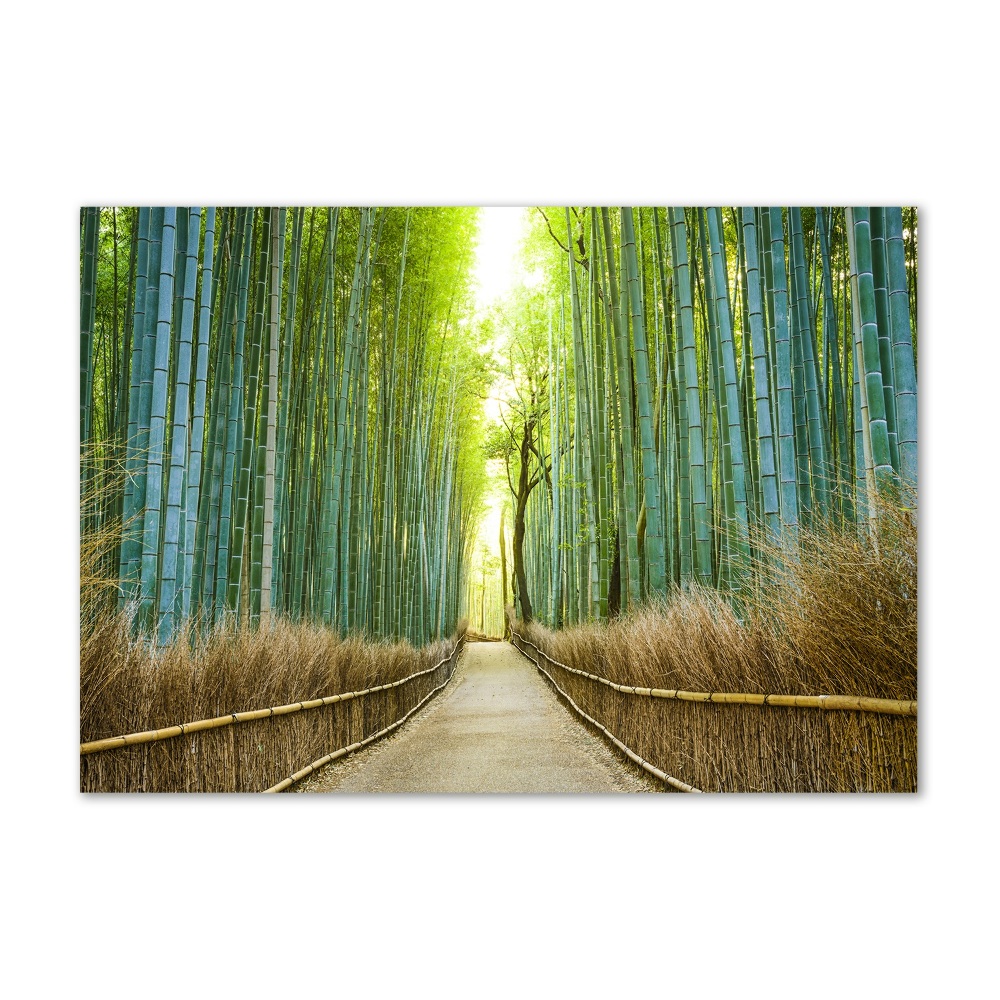 Print on acrylic Bamboo forest