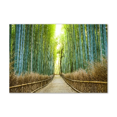 Print on acrylic Bamboo forest