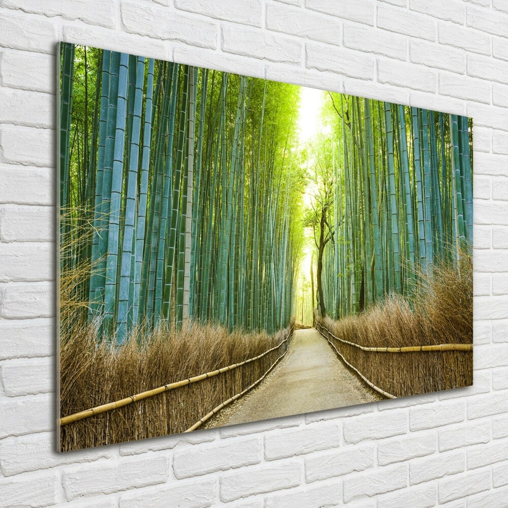 Print on acrylic Bamboo forest