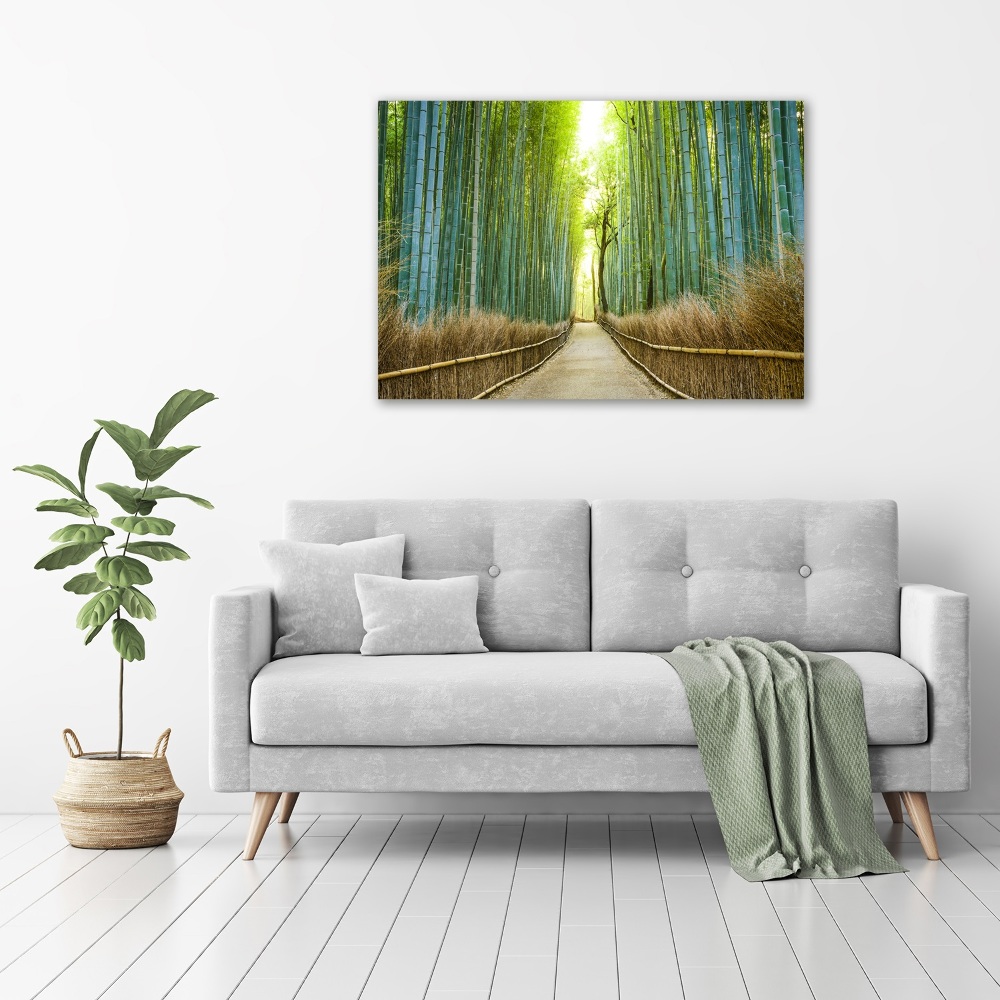 Print on acrylic Bamboo forest