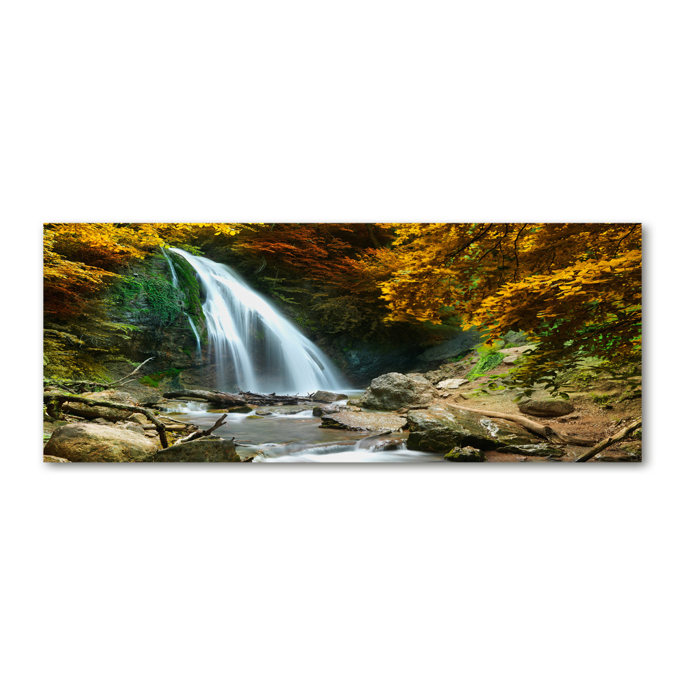 Print on acrylic Waterfall in the forest