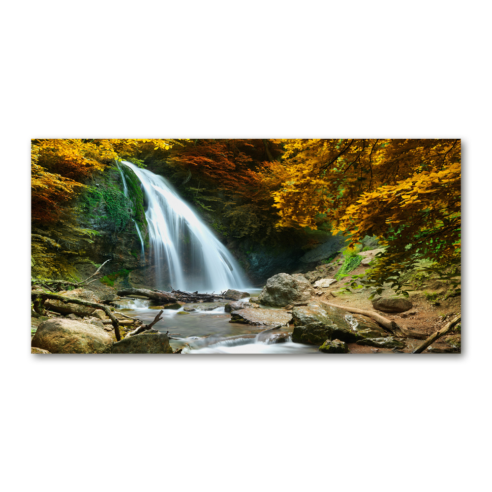 Print on acrylic Waterfall in the forest