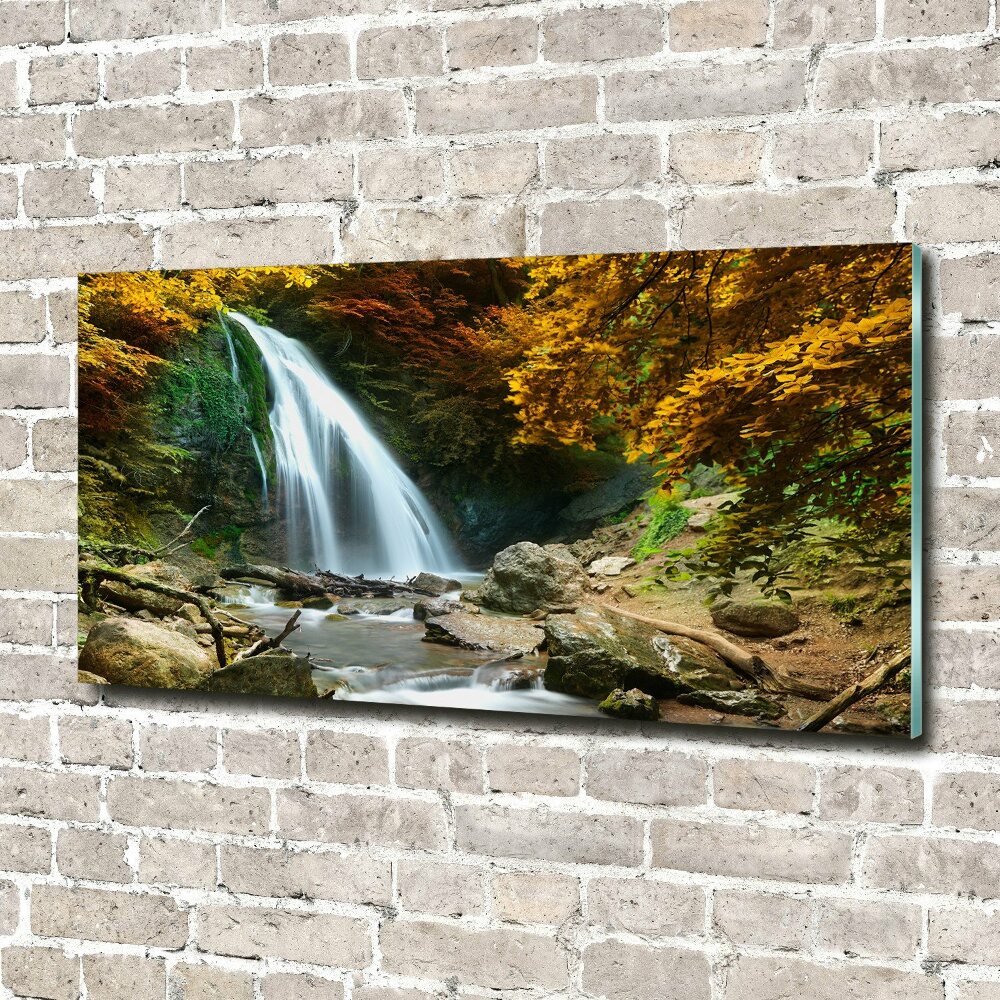 Print on acrylic Waterfall in the forest