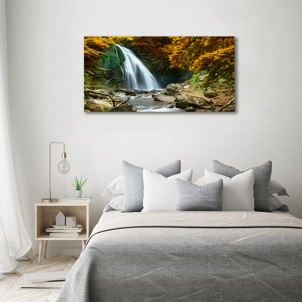 Print on acrylic Waterfall in the forest