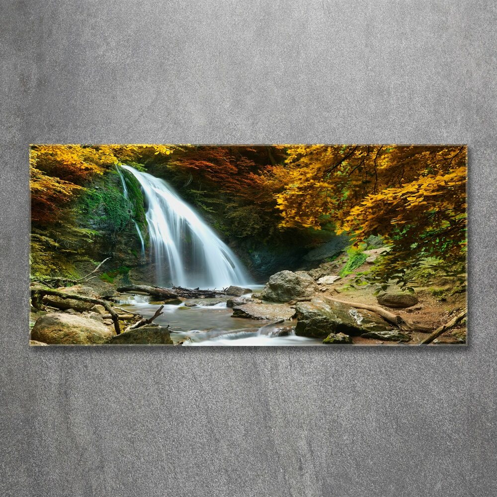 Print on acrylic Waterfall in the forest