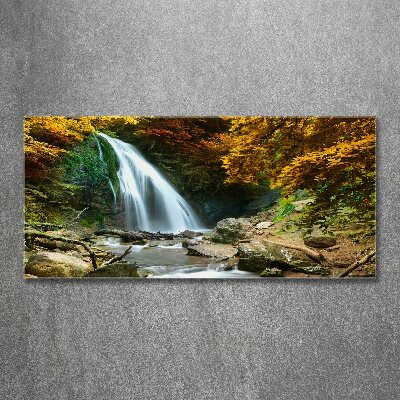 Print on acrylic Waterfall in the forest