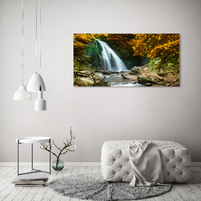 Print on acrylic Waterfall in the forest