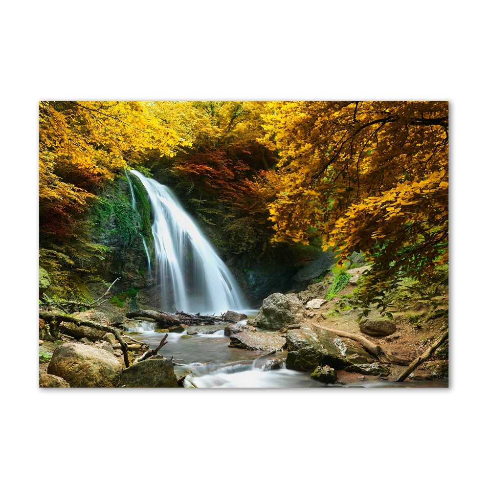 Print on acrylic Waterfall in the forest