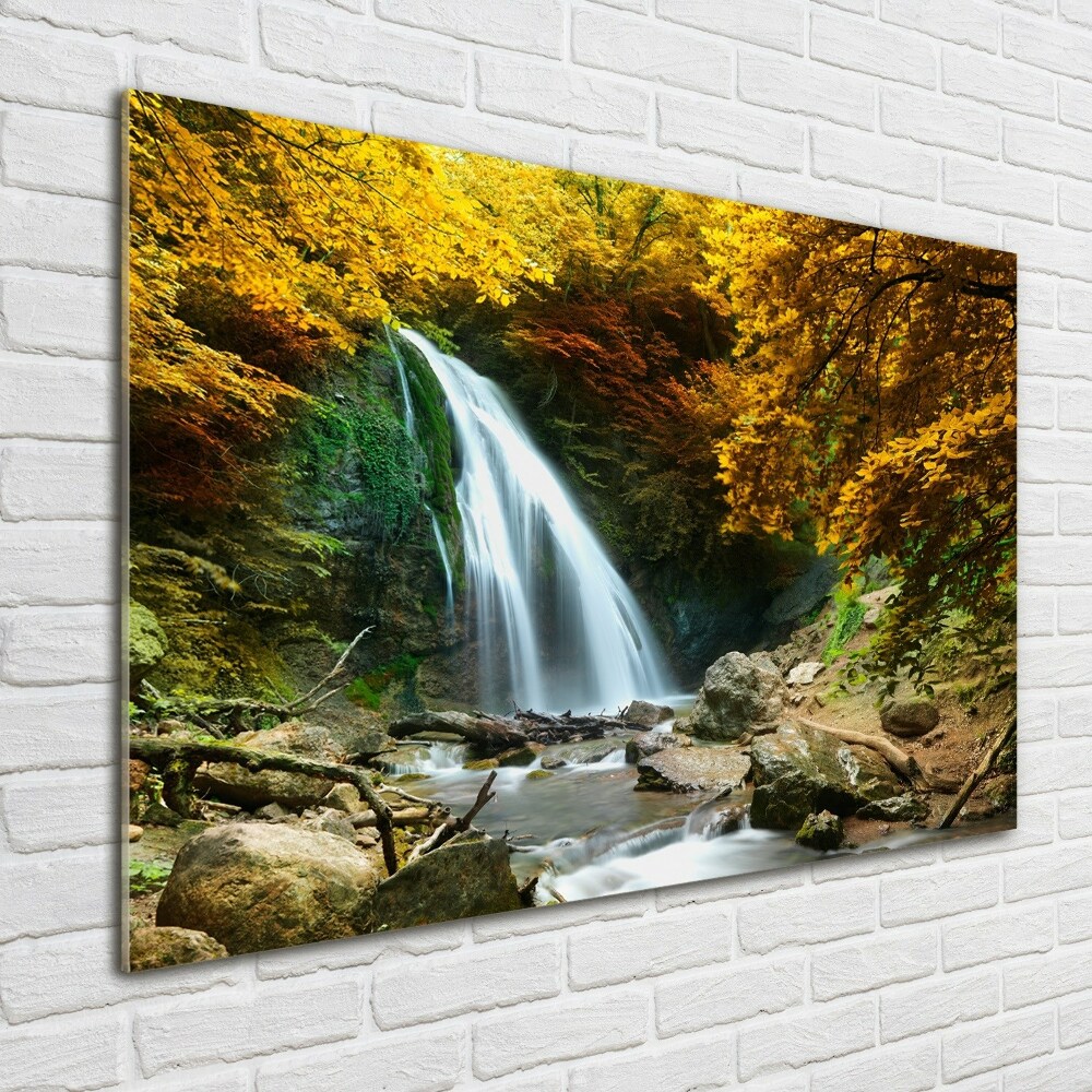 Print on acrylic Waterfall in the forest