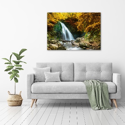 Print on acrylic Waterfall in the forest