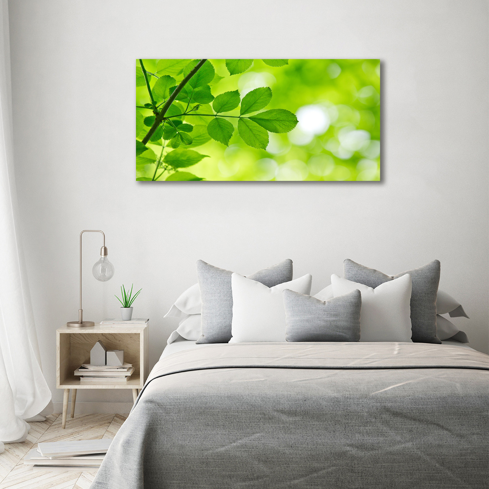 Print on acrylic Green leaves