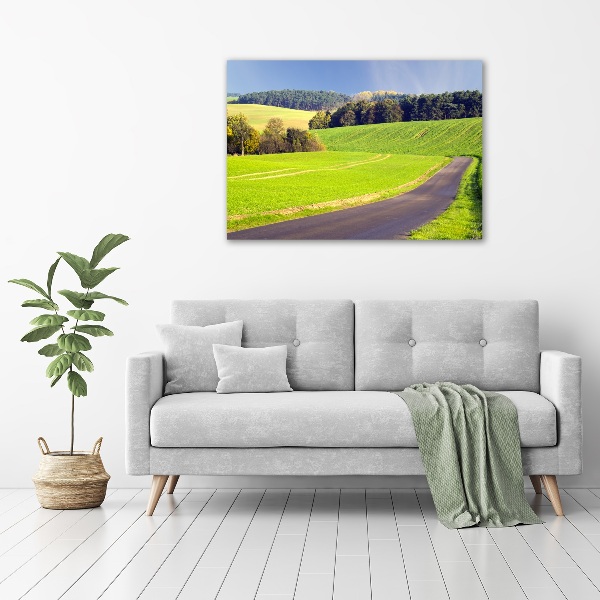 Print on acrylic dirt road