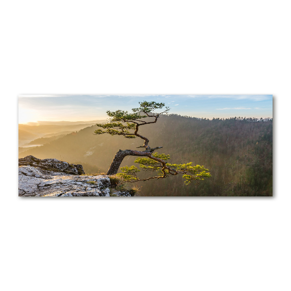 Wall art acrylic Sokolica Pieniny