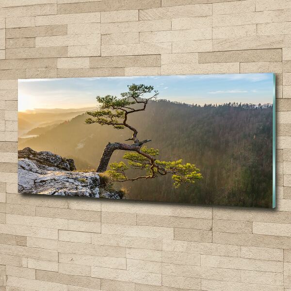 Wall art acrylic Sokolica Pieniny