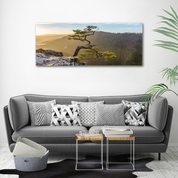 Wall art acrylic Sokolica Pieniny