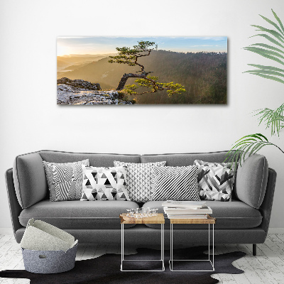 Wall art acrylic Sokolica Pieniny