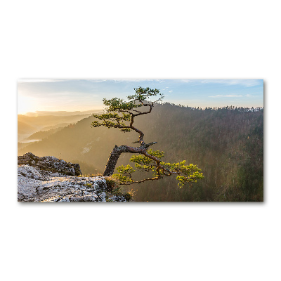 Wall art acrylic Sokolica Pieniny